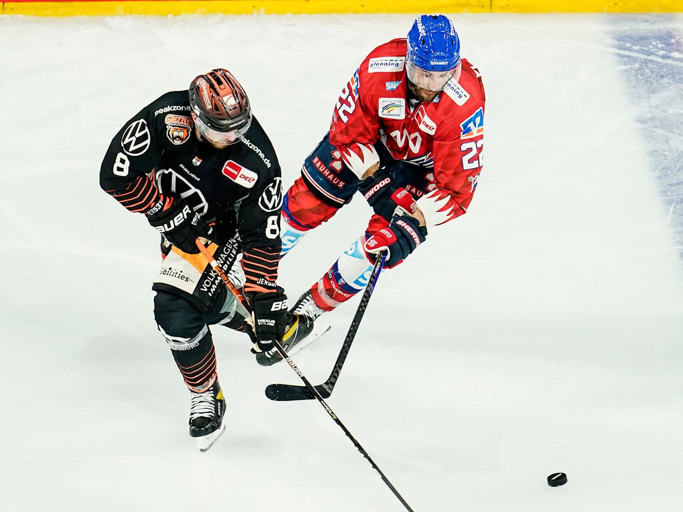 Jordan Murray (l) spielte einst für drei deutsche Eishockey-Clubs, darunter die Grizzlys Wolfsburg. (Archivbild) / Foto: Uwe Anspach/dpa