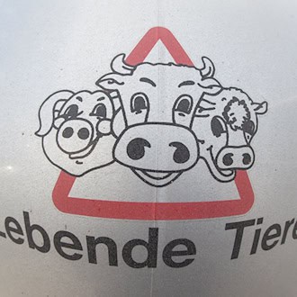 Im Prozess nach Tierschutzverstößen im früheren Schlachthof Bad gegen zwei Tierärzte wird das Verfahren voraussichtlich gegen Geldbußen eingestellt. (Symbolbild) / Foto: Friso Gentsch/dpa