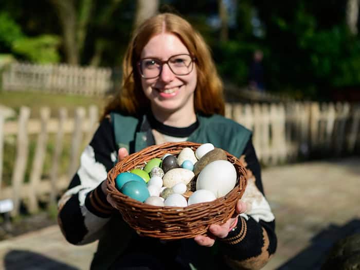 Der Vogelpark in Walsrode meldet Nachwuchs bei vielen Arten.  / Foto: Philipp Schulze/dpa