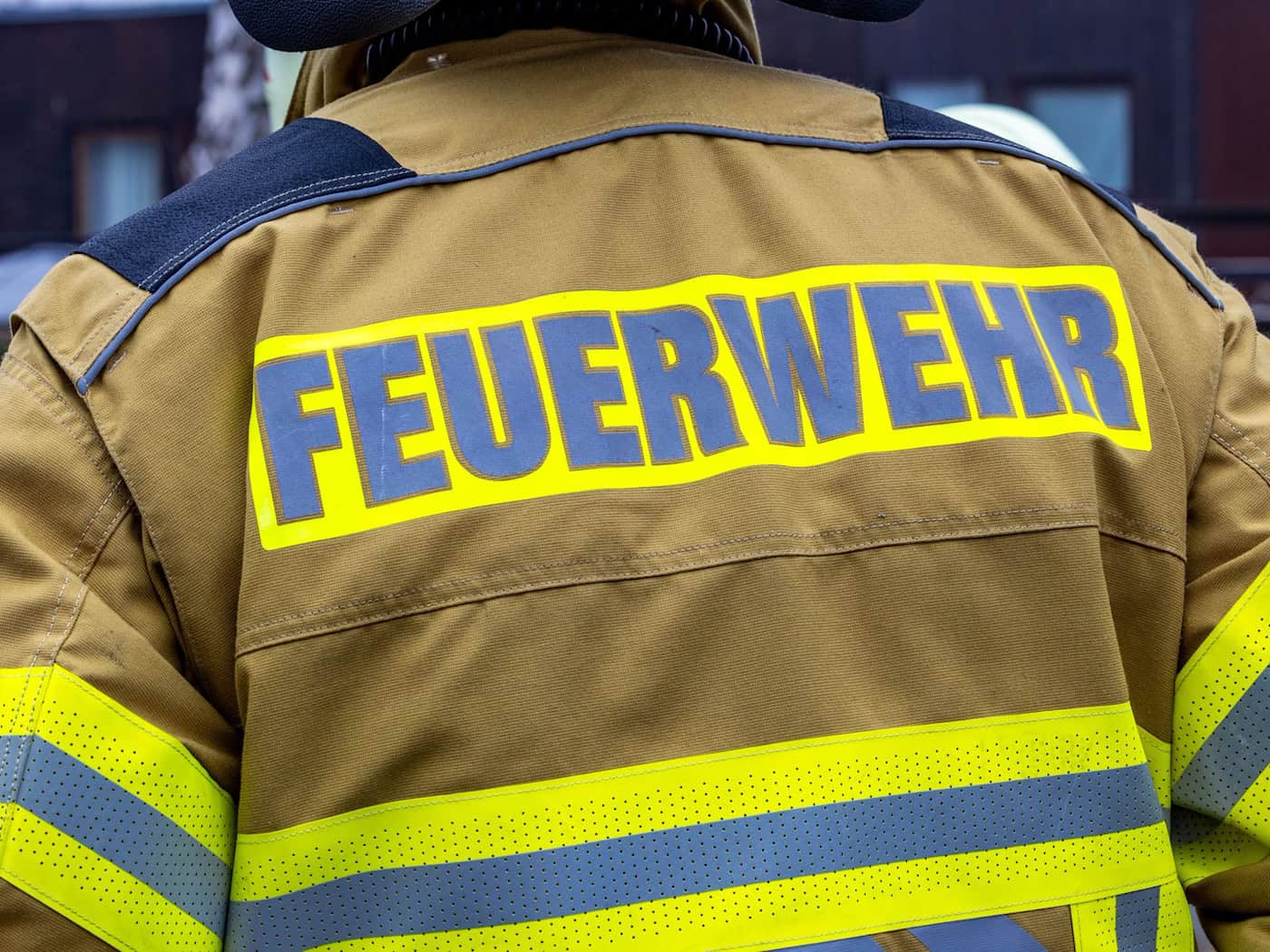 Einsatzkräfte der Feuerwehr brachten die verletzte Schildkröte in eine Klinik. (Symbolbild) / Foto: Jens Büttner/dpa