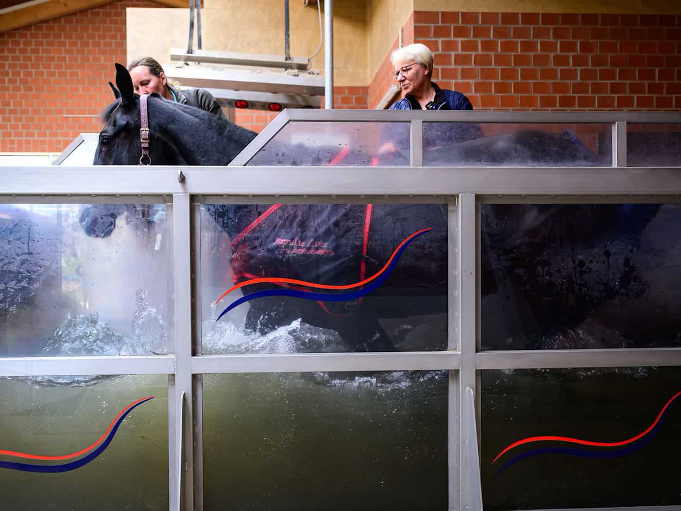 Das gelenkschonende Üben bei sanftem Widerstand bringe auch viel für die Kondition. / Foto: Philipp Schulze/dpa
