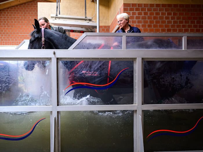 Das gelenkschonende Üben bei sanftem Widerstand bringe auch viel für die Kondition. / Foto: Philipp Schulze/dpa