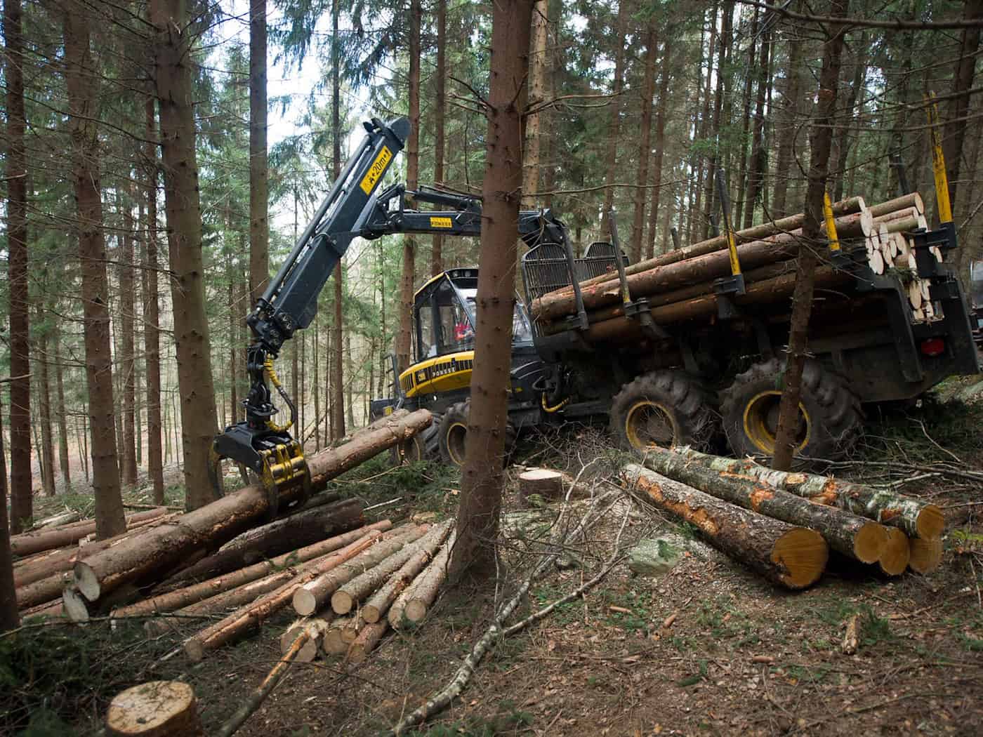 Die Täter entleeren Feuerlöscher in den Führerhäusern der Waldfahrzeugen. (Symbolbild) / Foto: picture alliance / dpa