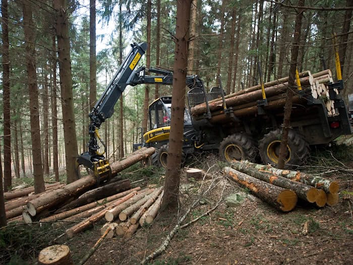 Die Täter entleeren Feuerlöscher in den Führerhäusern der Waldfahrzeugen. (Symbolbild) / Foto: picture alliance / dpa