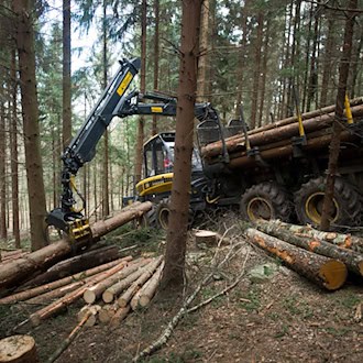 Die Täter entleeren Feuerlöscher in den Führerhäusern der Waldfahrzeugen. (Symbolbild) / Foto: picture alliance / dpa