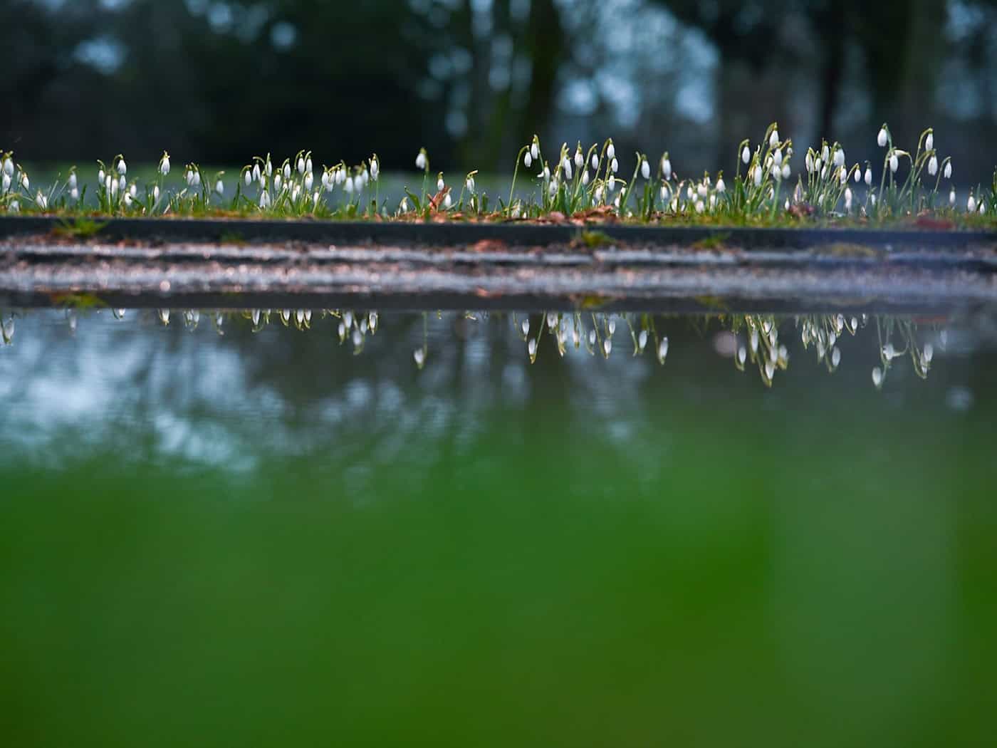 Pfützen auf Wegen und Äckern können trügerisch sein: Vielerorts fehlt den Böden Feuchtigkeit. (Archivbild) / Foto: Lars Penning/dpa