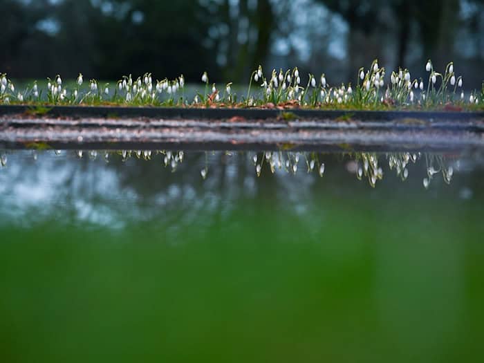 Pfützen auf Wegen und Äckern können trügerisch sein: Vielerorts fehlt den Böden Feuchtigkeit. (Archivbild) / Foto: Lars Penning/dpa
