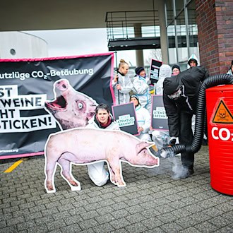 Die Betäubung von Schweinen durch das Gas CO2 ist umstritten - Tierschützer wollen gerichtlich prüfen lassen, ob das Verfahren erlaubt ist.  / Foto: Sina Schuldt/dpa