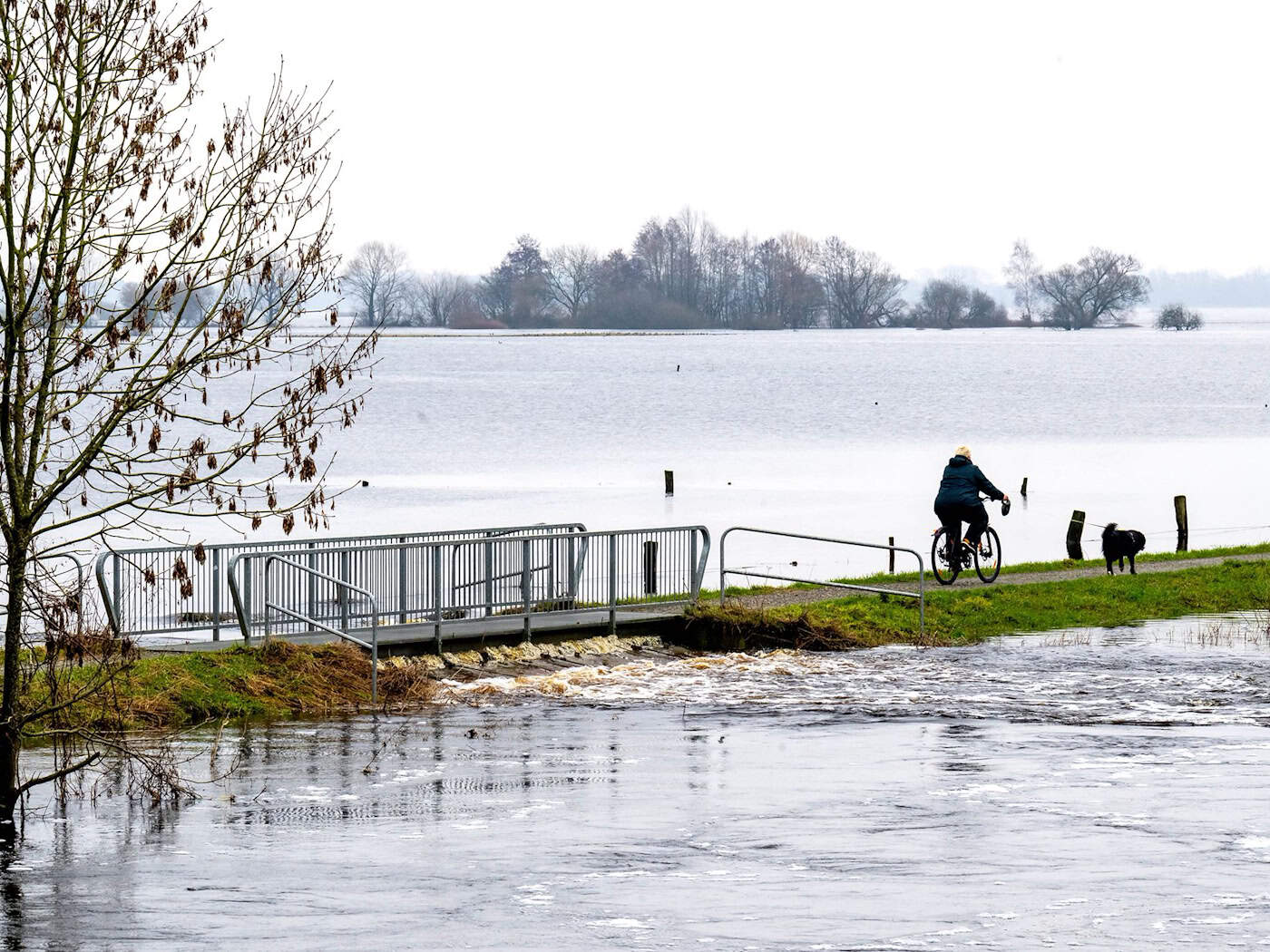 Das Hochwasser überflutete Ende 2023 Teile Niedersachsens und Bremen. / Foto: Sina Schuldt/dpa