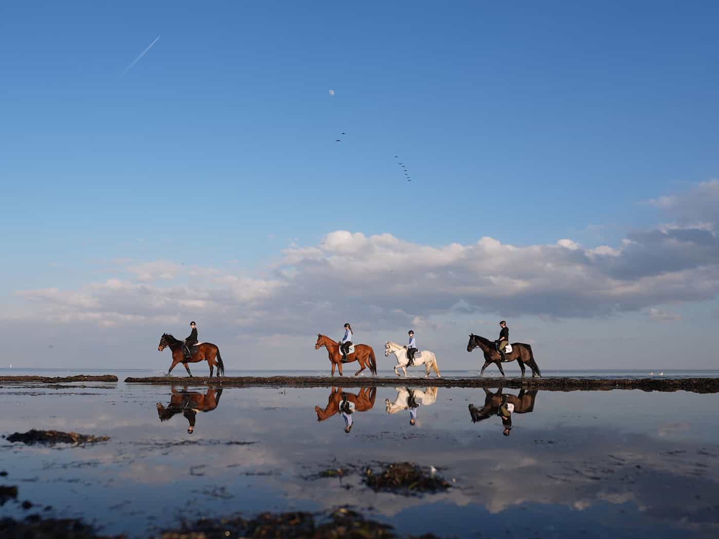 Wetterextreme beeinflussen die Meere. (Archivbild) / Foto: Marcus Brandt/dpa