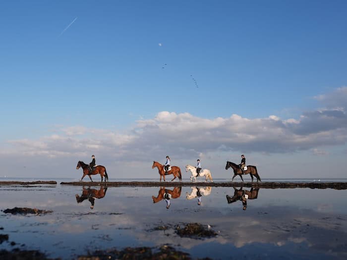Wetterextreme beeinflussen die Meere. (Archivbild) / Foto: Marcus Brandt/dpa