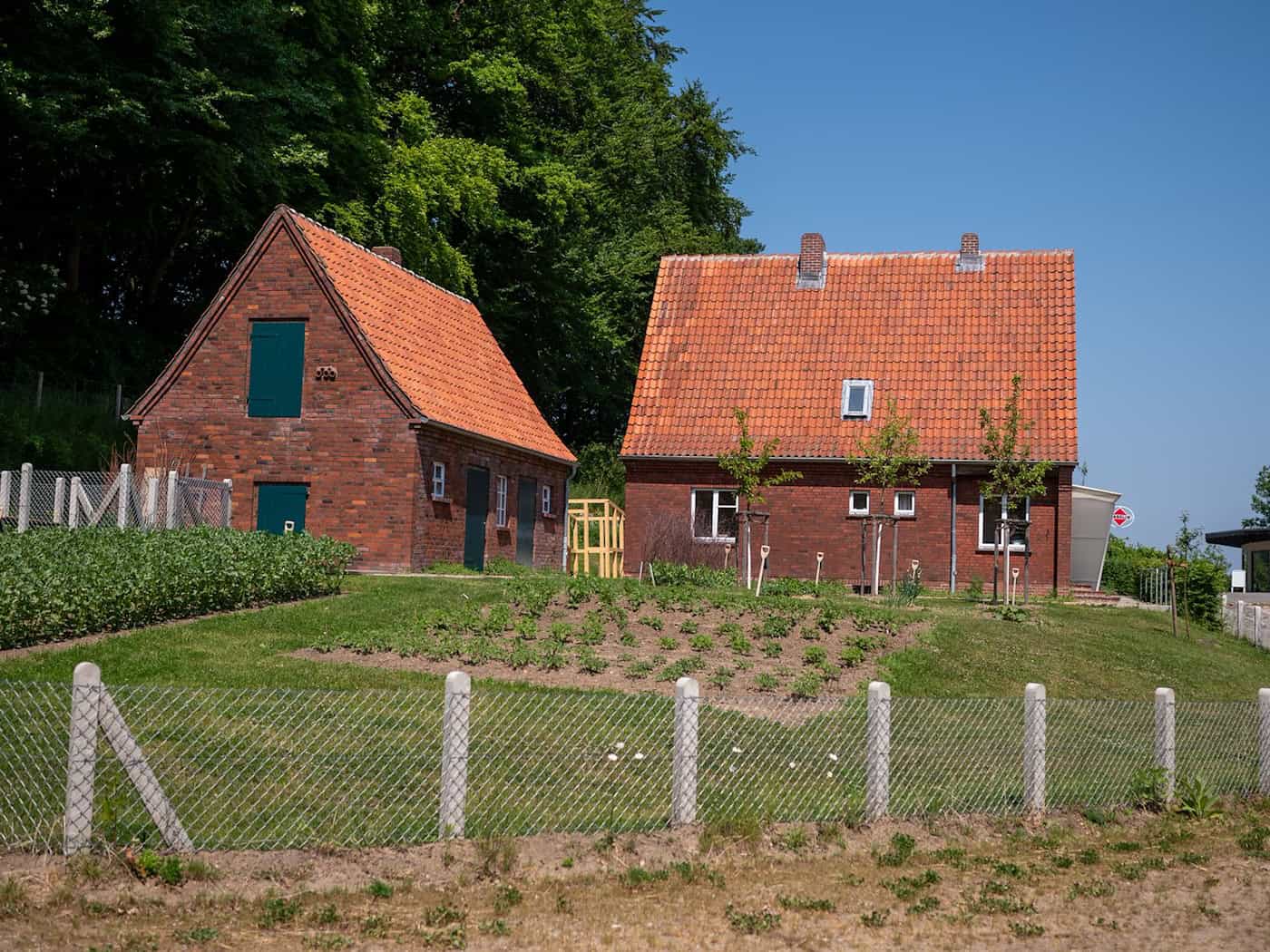 Nach dem Krieg bauten viele Menschen Obst und Gemüse an. (Archivbild) / Foto: Philipp Schulze/dpa