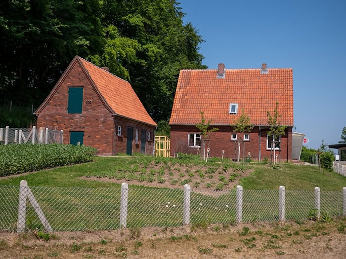 Nach dem Krieg bauten viele Menschen Obst und Gemüse an. (Archivbild) / Foto: Philipp Schulze/dpa