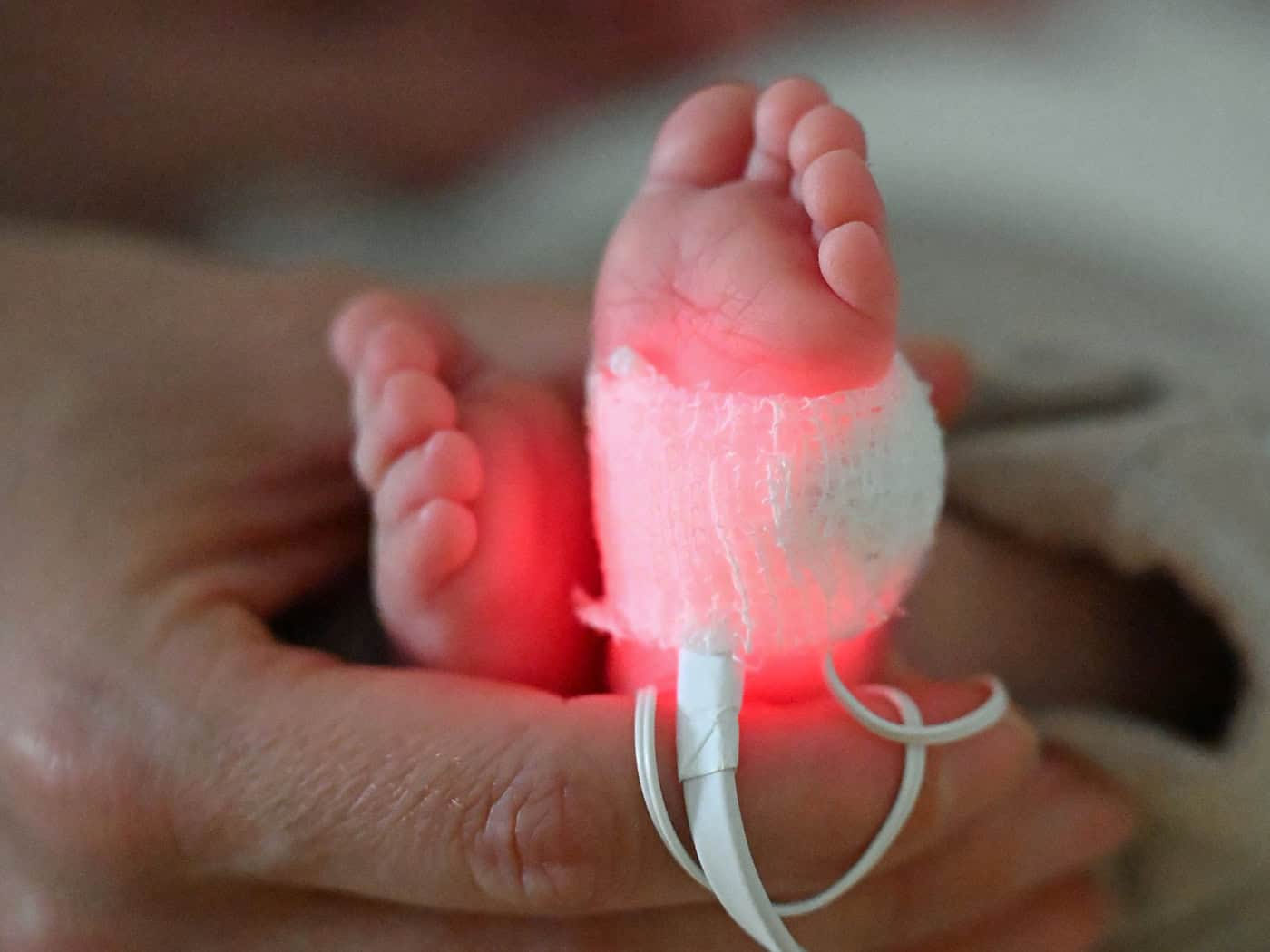 Ein Frühchen ist in einem Bremer Krankenhaus gestorben. Grund ist eine Infektion, die durch ein Bakterium verursacht wurde. (Symbolbild) / Foto: Jennifer Brückner/dpa