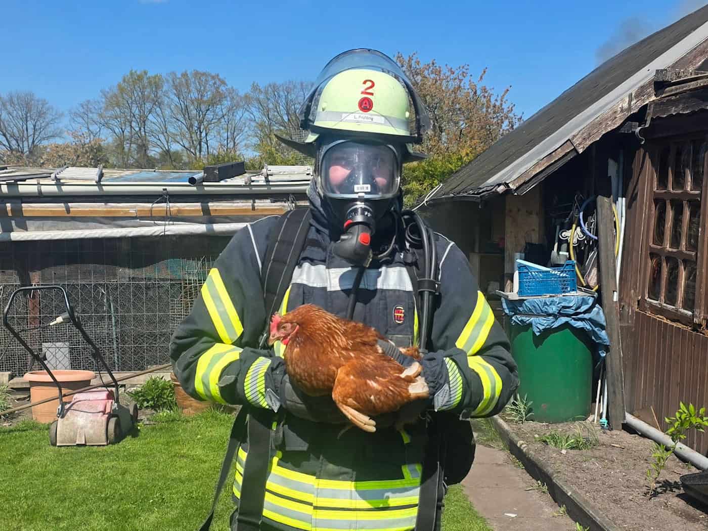  Die Einsatzkräfte in Celle retteten mehrere Hühner vor den Flammen. / Foto: Feuerwehr Celle