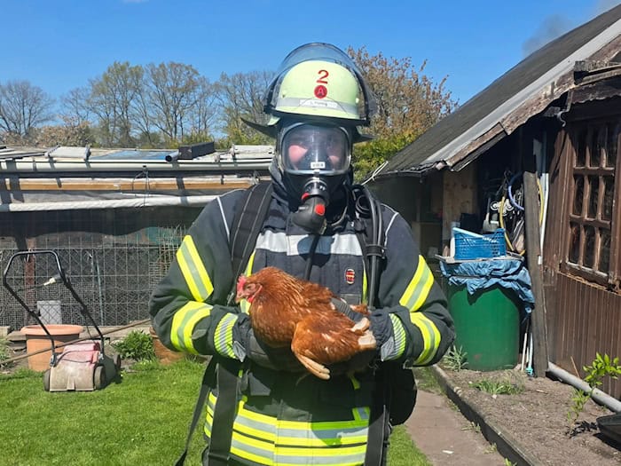  Die Einsatzkräfte in Celle retteten mehrere Hühner vor den Flammen. / Foto: Feuerwehr Celle