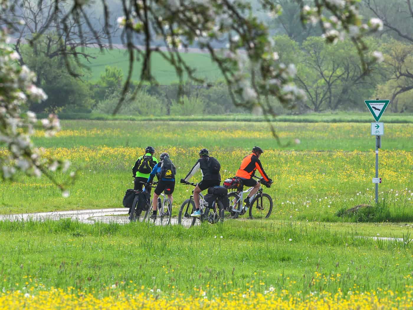 Zu beginnenden Radsaison warnt das Landeskriminalamt Niedersachsen vor Fahrraddiebstahl. (Symbolbild) / Foto: Thomas Warnack/dpa