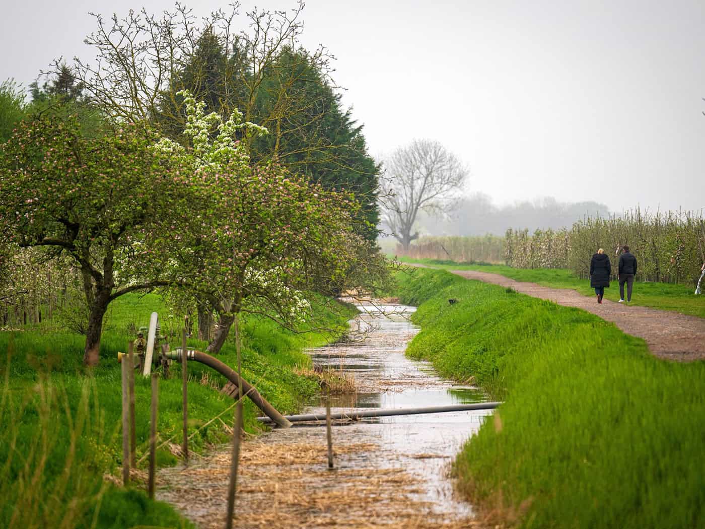 Das Wetter wird am Sonntag und zum Wochenstart kälter, regnerisch und vereinzelt sogar gewittrig. (Symbolbild) / Foto: Sina Schuldt/dpa