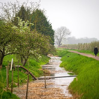 Das Wetter wird am Sonntag und zum Wochenstart kälter, regnerisch und vereinzelt sogar gewittrig. (Symbolbild) / Foto: Sina Schuldt/dpa
