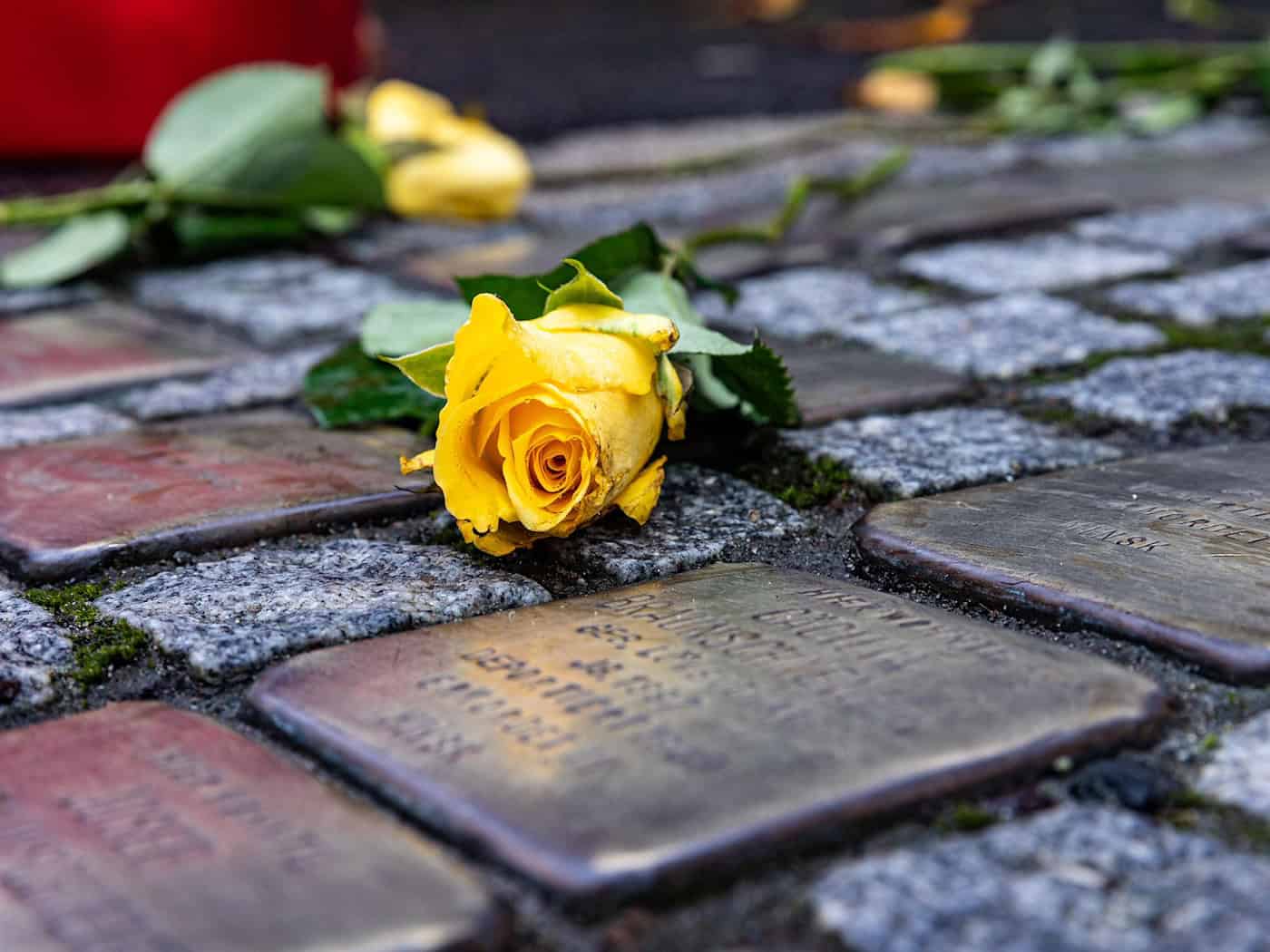In Göttingen haben Unbekannte mehrere Stolpersteine beschmiert und unleserlich gemacht. (Symbolbild) / Foto: Sascha Lotz/dpa
