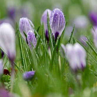 Unter Hochdruckeinfluss bleibt es in Niedersachsen und Bremen überwiegend trocken. (Symbolbild) / Foto: Hauke-Christian Dittrich/dpa