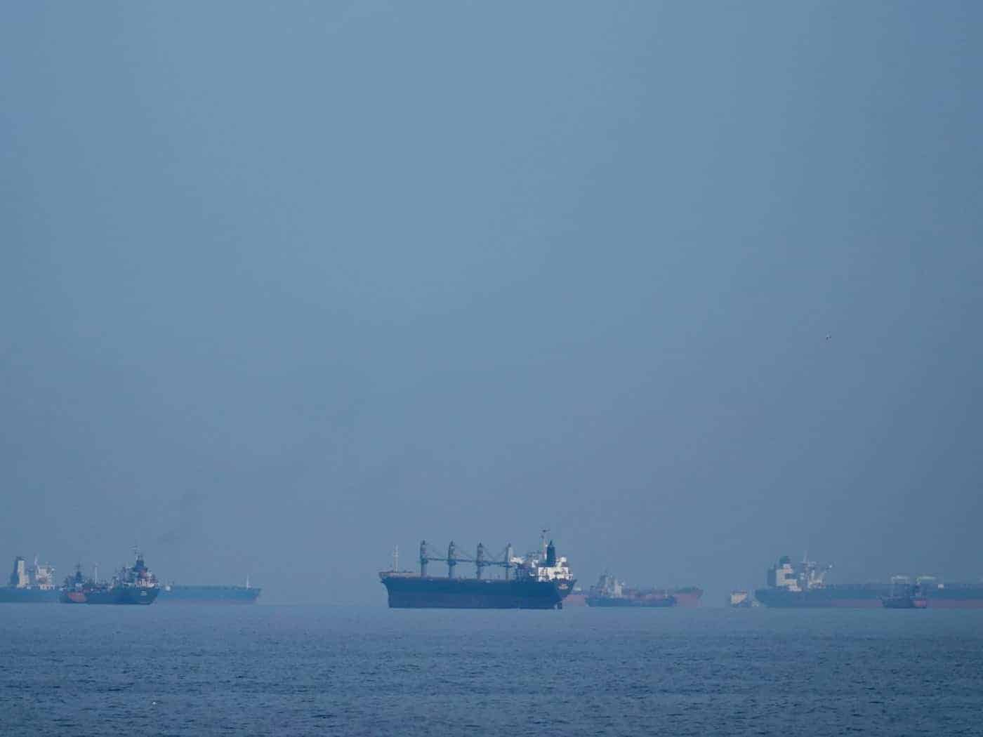 Der Schiffsverkehr ist in der Straße von Hormus während des Krieges weitgehend zum Erliegen gekommen. (Archivbild)  / Foto: Altaf Qadri/AP/dpa