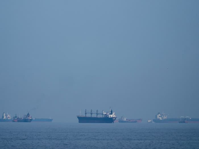 Der Schiffsverkehr ist in der Straße von Hormus während des Krieges weitgehend zum Erliegen gekommen. (Archivbild)  / Foto: Altaf Qadri/AP/dpa