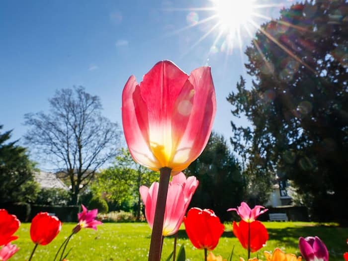 Sonniges Frühlingswetter lockt am verlängerten Wochenende viele Touristen in die Feriengebiete. (Symbolbild) / Foto: Thomas Banneyer/dpa