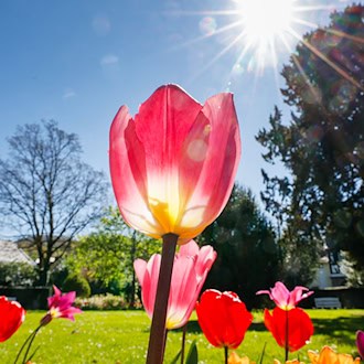 Sonniges Frühlingswetter lockt am verlängerten Wochenende viele Touristen in die Feriengebiete. (Symbolbild) / Foto: Thomas Banneyer/dpa