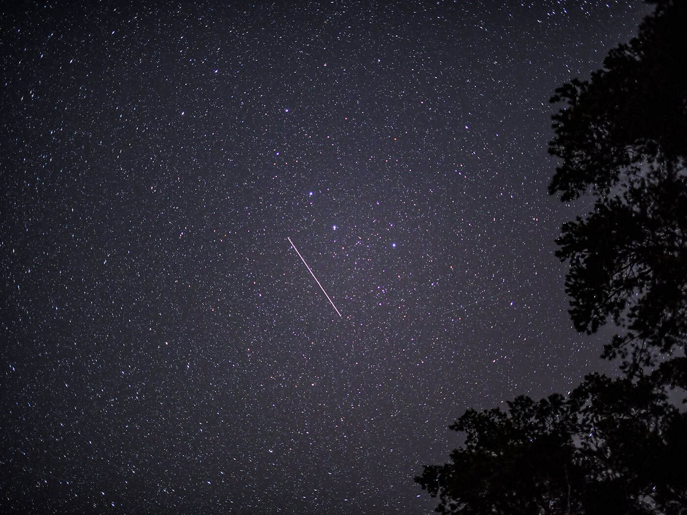 Die Lyriden kommen und damit können Sternschnuppen am Himmel gesehen werden - auch wenn das hier im Bild nur ein Satellit ist. (Archivbild) / Foto: Patrick Pleul/dpa-Zentralbild/dpa