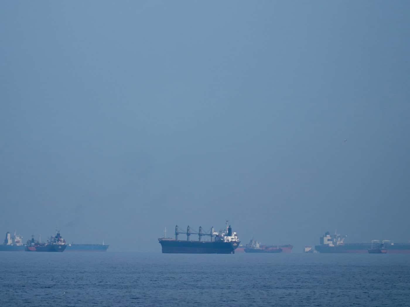 Mindestens 50 Schiffe deutscher Reedereien sollen im Golf festsitzen. (Archivbild) / Foto: Altaf Qadri/AP/dpa