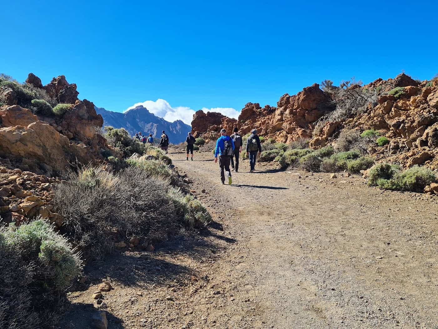 Seit Sommer 2022 wurde ein junger Backpacker aus Niedersachsen auf Teneriffa vermisst, der dort zum Wandern war - nun wurde sein Tod bestätigt. (Symbolbild) / Foto: Roswitha Bruder-Pasewald/dpa-tmn