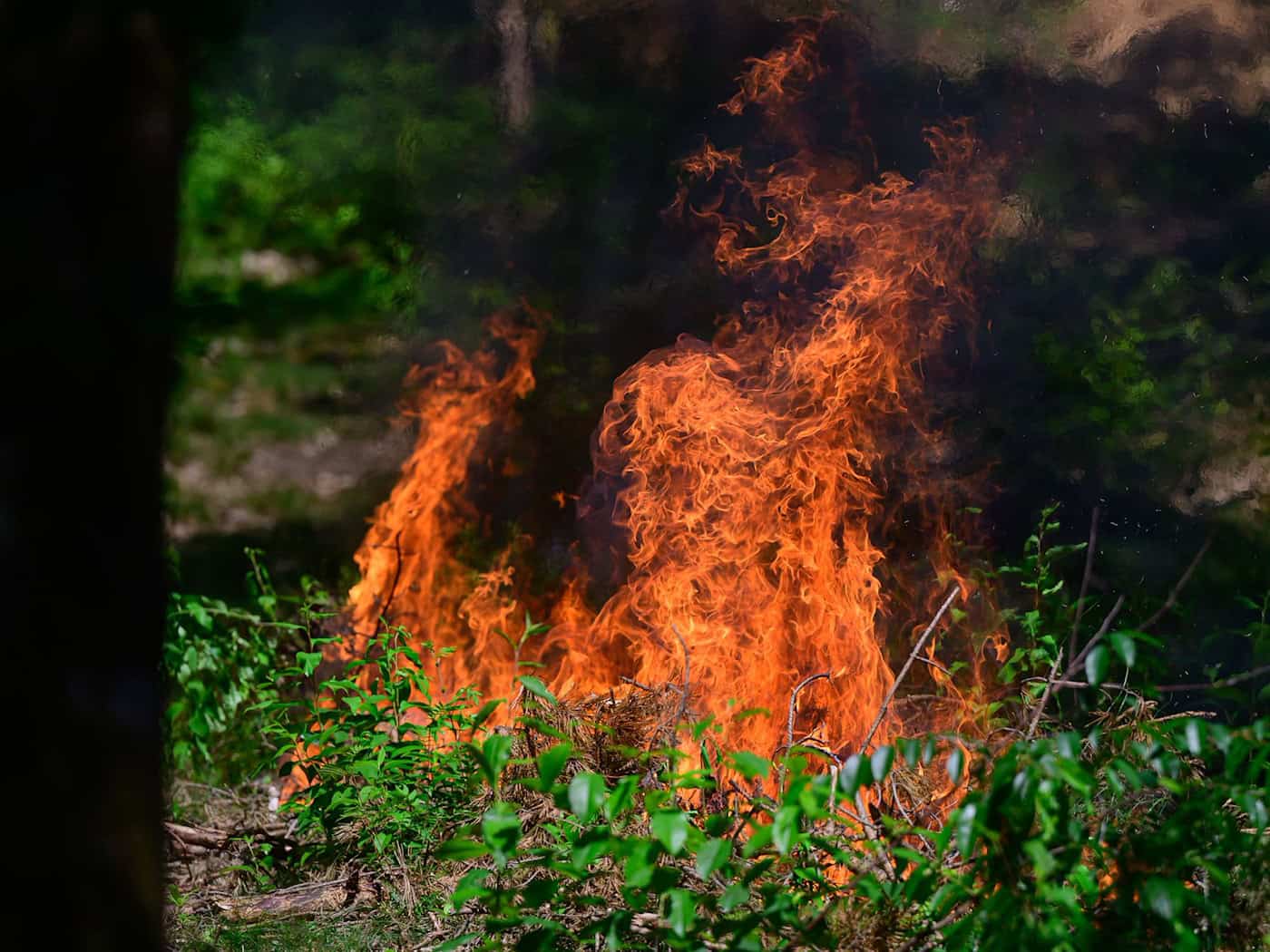 Passanten hatten Rauch bemerkt und einen Notruf abgesetzt. (Symbolbild) / Foto: Philipp Schulze/dpa