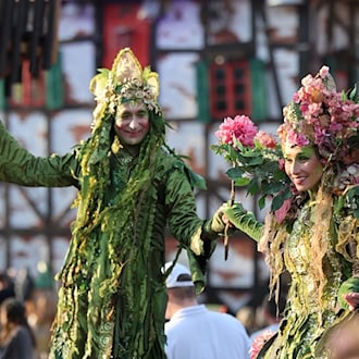 Ausgefallene Kostüme bestimmen vielerorts das Geschehen. (Archivbild) / Foto: Matthias Bein/dpa