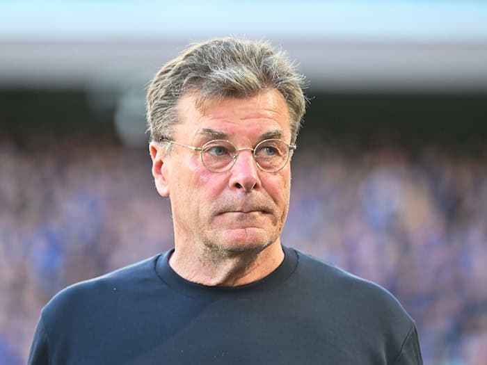 Nach Abstieg: Dieter Hecking wird Sport-Geschäftsführer beim VfL Wolfsburg