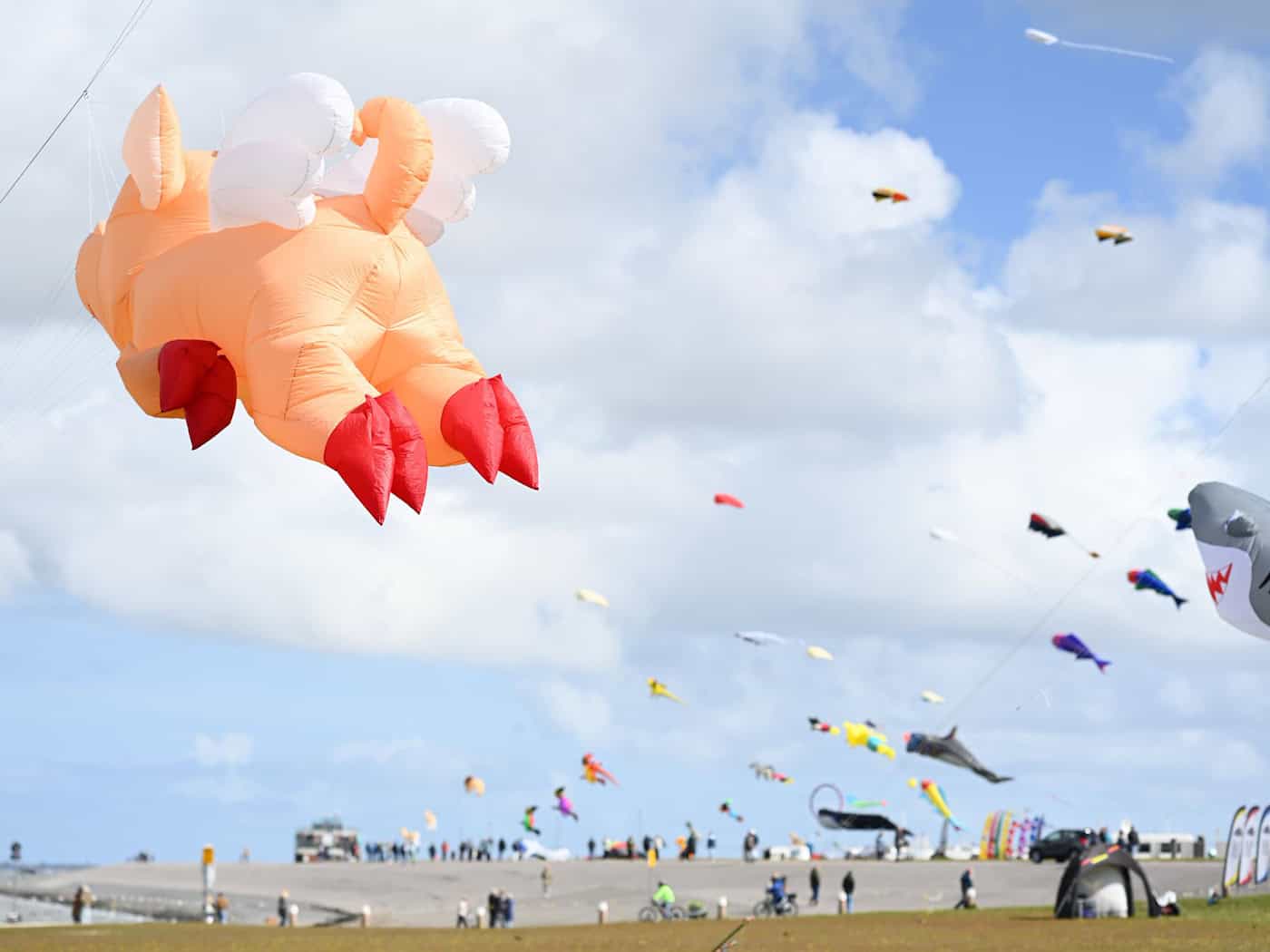 Riesige Tierfiguren als Drachen schweben beim Drachenfest am Himmel. / Foto: Lars Penning/dpa