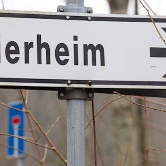 Nach Auffassung des Gerichts wurden die Hunde unter hochgradig tierschutzwidrigen Umständen gehalten. (Symbolbild) / Foto: picture alliance / Friso Gentsch/dpa