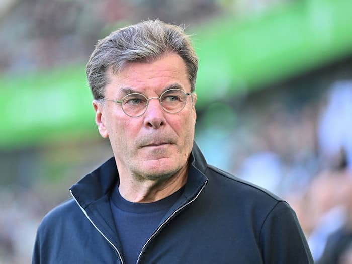Wolfsburg-Trainer Dieter Hecking. / Foto: Swen Pförtner/dpa