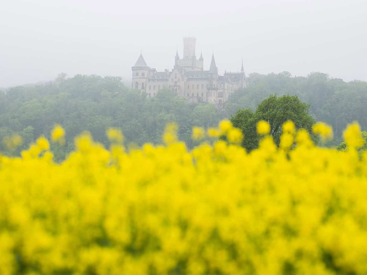 Am Mittwoch wird es in Niedersachsen und Bremen nass - zum Wochenende sagt der DWD Besserung vorher.  / Foto: Julian Stratenschulte/dpa
