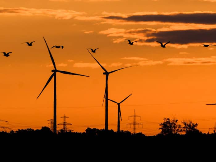 Niedersachsens Windenergiebranche fürchtet um den Wegbruch von Investitionen in Milliardenhöhe. (Symbolbild) / Foto: Julian Stratenschulte/dpa