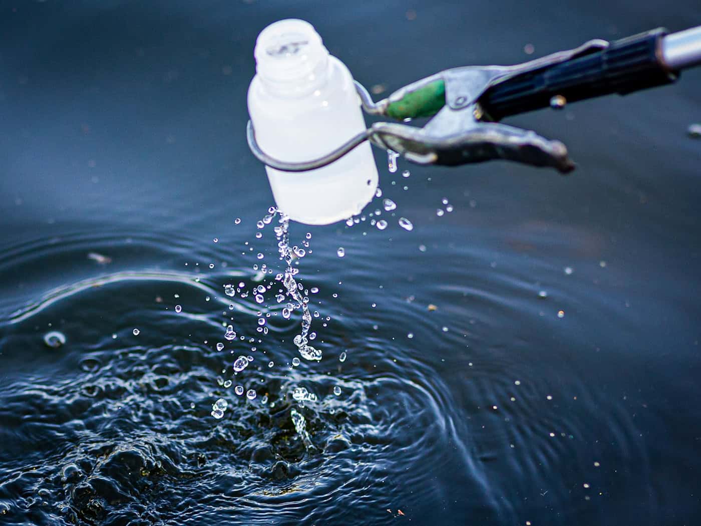 Das Umweltamt und das Amt für Veterinärwesen und Lebensmittelkontrolle des Landkreises Harz haben Proben des Wassers und der Fische genommen. (Symbolbild) / Foto: Moritz Frankenberg/dpa
