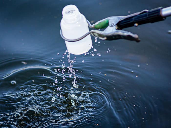 Das Umweltamt und das Amt für Veterinärwesen und Lebensmittelkontrolle des Landkreises Harz haben Proben des Wassers und der Fische genommen. (Symbolbild) / Foto: Moritz Frankenberg/dpa