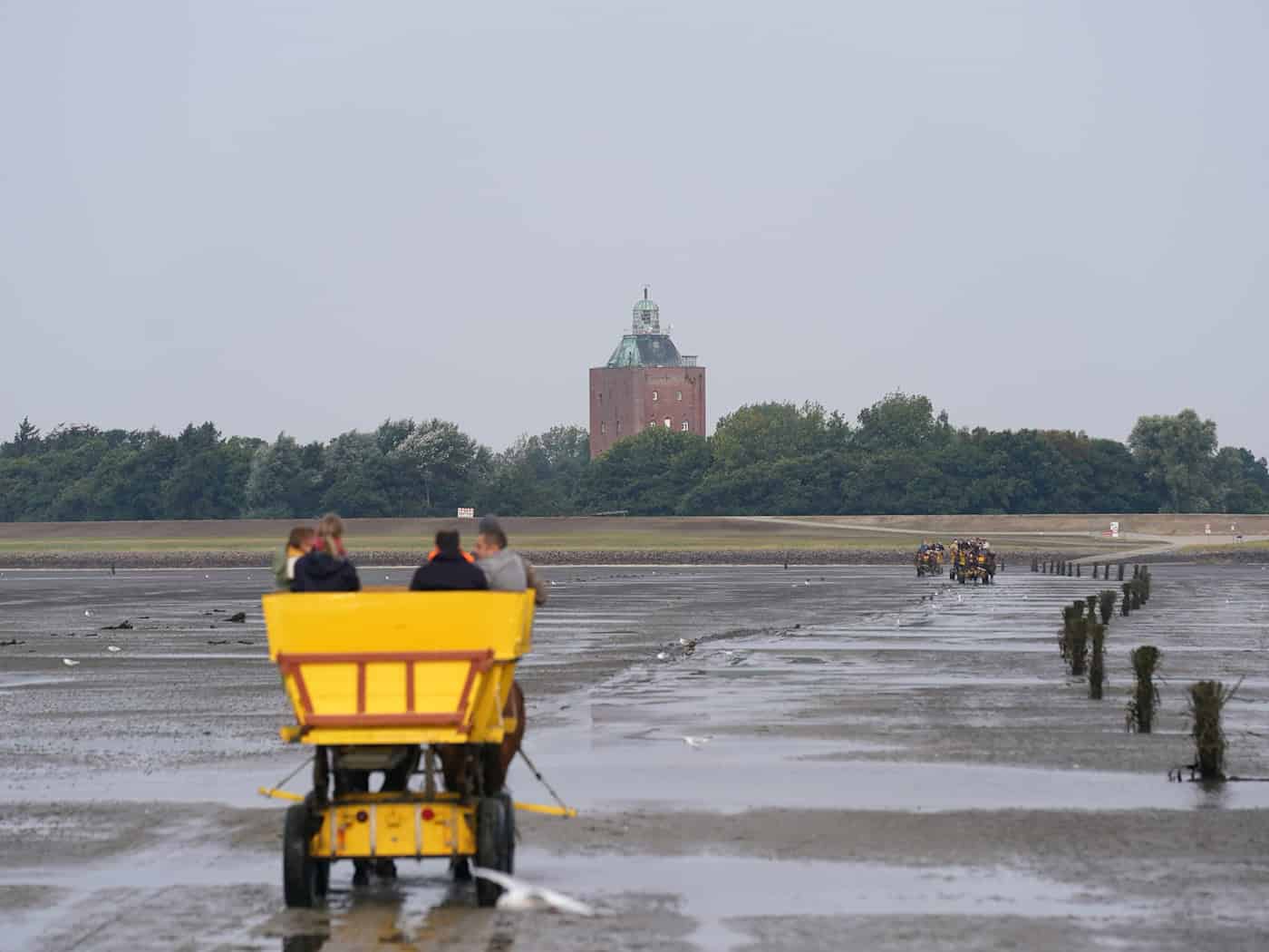 Die Sanierungsarbeiten des Neuwerker Leuchtturms haben begonnen. (Symbolbild) / Foto: Marcus Brandt/dpa