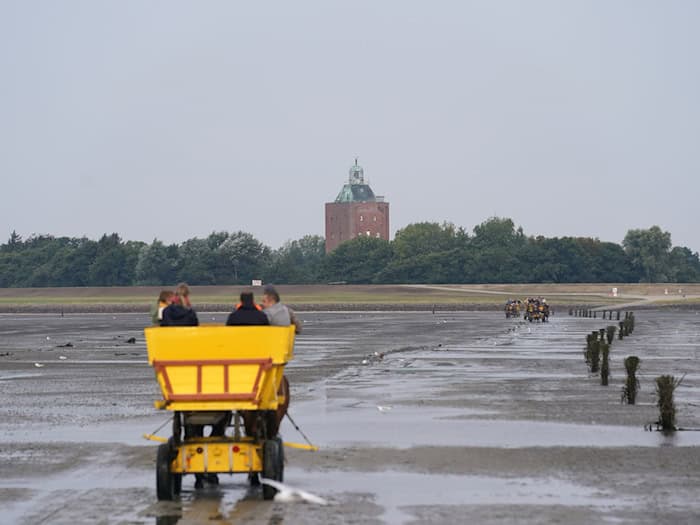 Die Sanierungsarbeiten des Neuwerker Leuchtturms haben begonnen. (Symbolbild) / Foto: Marcus Brandt/dpa