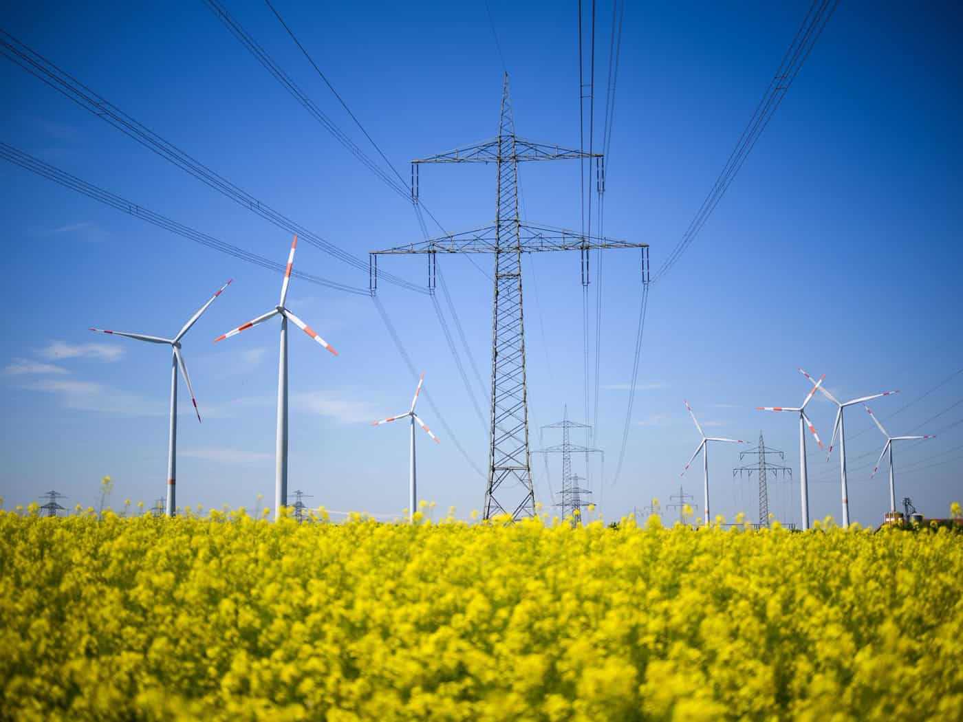 Der weitere Ausbau von Erneuerbaren und Stromnetzen soll ein großes Thema der Energieministerkonferenz werden. (Archivbild) / Foto: Julian Stratenschulte/dpa