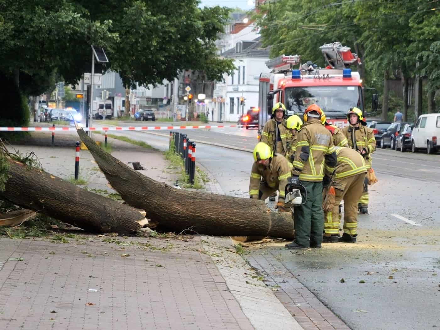 Durch das Unwetter sind einige Bäume umgekippt.  / Foto: Jörn Hüneke/dpa