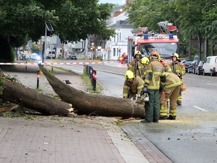Durch das Unwetter sind einige Bäume umgekippt.  / Foto: Jörn Hüneke/dpa