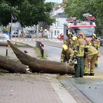 Durch das Unwetter sind einige Bäume umgekippt.  / Foto: Jörn Hüneke/dpa