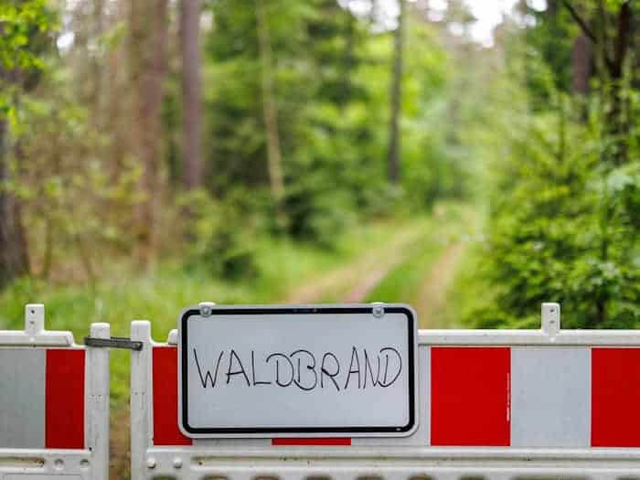 Die Waldbrandgefahr steigt wieder an. (Symbolbild) / Foto: Daniel Karmann/dpa