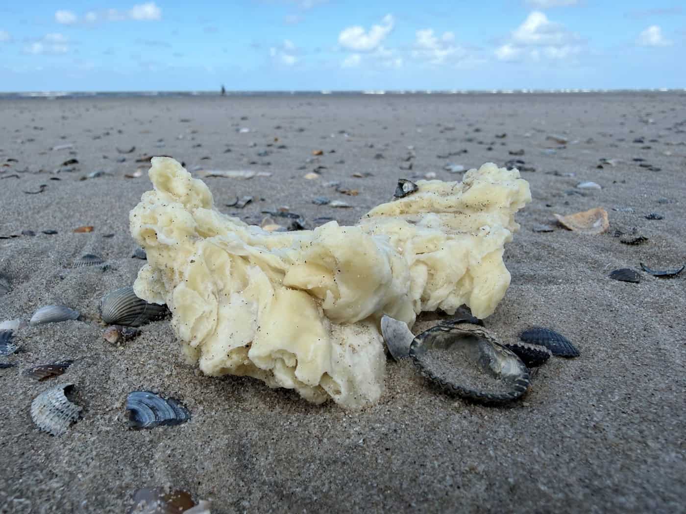 Die weißen Klumpen wurden unter anderem auf Borkum, Juist und Norderney entdeckt. / Foto: Volker Bartels/dpa